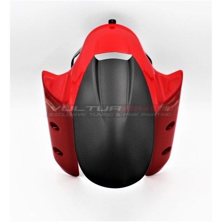 Carbon Kotflügel vorne - Multistrada V4 / V4S / Rally