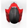 Garde-boue avant carbone - Multistrada V4 / V4S / Rallye
