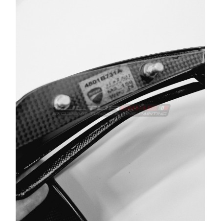 Original carbon fiber fins and control panels set - Ducati superlight Panigale V4