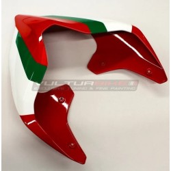 ORIGINAL Ducati Panigale V2 tail customized Troy Bayliss version