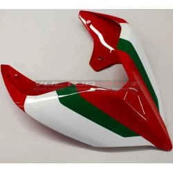 ORIGINAL Ducati Panigale V2 tail customized Troy Bayliss version