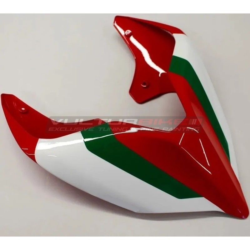 ORIGINAL Ducati Panigale V2 tail customized Troy Bayliss version