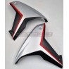 Brushed aluminium effect carbon panels - Ducati Multistrada V4 / V4S