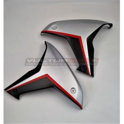 Brushed aluminium effect carbon panels - Ducati Multistrada V4 / V4S