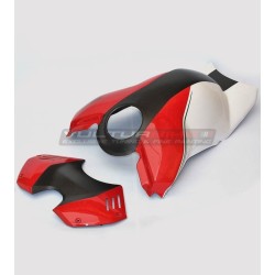 Ducati Panigale V4R Complete Dressing Kit - Restyling V4 - V4S