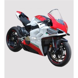 Ducati Panigale V4R Komplett-Dressing-Kit - Restyling V4 - V4S