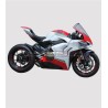 Kit d’habillage complet Ducati Panigale V4R - V4 Restyling - V4S
