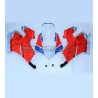 Upper fairings Ducati Panigale V4 2020 S Corse 2018/19 facelift