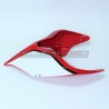 Custom Heck - Ducati Panigale V2 V4 - Streetfighter V2 V4