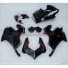 Set de carenados de carbono con nuevo diseño SP - Ducati Panigale V4 / V4R / V4S