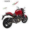 Kit de pegatinas de diseño tricolor - Ducati Monster 821 / 1200 / 1200S