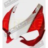 Pegatinas para tanque, domo y codón - Ducati 899/1199 Panigale 