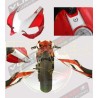 Pegatinas para tanque, domo y codón - Ducati 899/1199 Panigale 