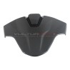 Codino in fibra di carbonio -  BMW S 1000RR 2023 