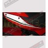 Benutzerdefinierte Aufkleber-Kit - Ducati Multistrada 1200 2010/14 