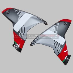 Paneles laterales de carbono para Ducati Multistrada diseño V4 Pikes Peak 2025