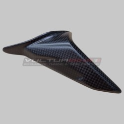 Juego de basculantes de un solo lado Ducati Multistrada V4 Pikes Peak / RS - Carbono