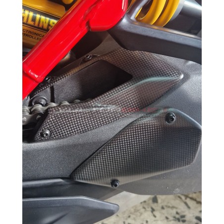 Einarmschwinge Set Ducati Multistrada V4 Pikes Peak / RS - Carbon