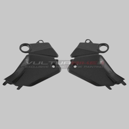 Tankabdeckungen und Hilfsrahmen rechts und links Ducati Panigale V4 - Carbon