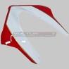 Road / Racing Windscreen Ducati Panigale V4