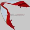 Road Tail / Racing Ducati Panigale V4 / S