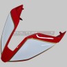 Complete fairing set Road / Racing Ducati Panigale V4 / S