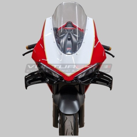 Bulle Route / Course Ducati Panigale V4