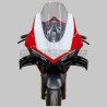 Cupolino Strada / Racing Ducati Panigale V4
