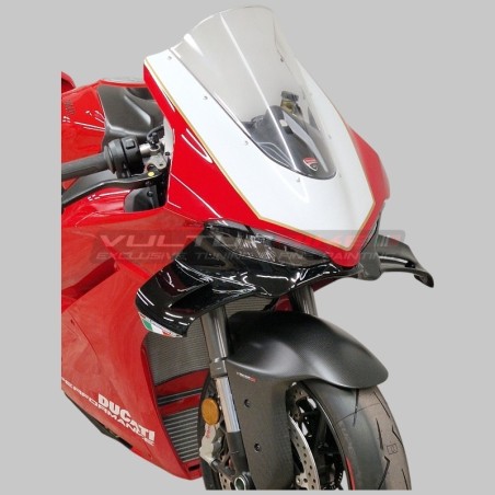 Cupolino Strada / Racing Ducati Panigale V4