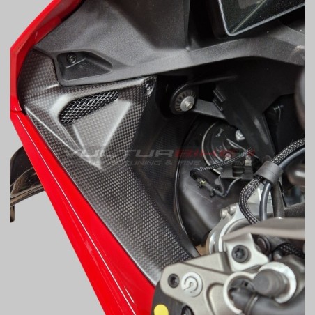 Salpicaderos de parabrisas para Ducati Panigale V4 - Carbono