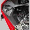 Salpicaderos de parabrisas para Ducati Panigale V4 - Carbono