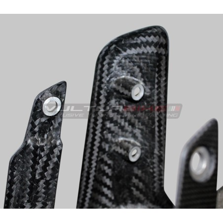 Carbon Kotflügel vorne - Ducati Multistrada V2 / V2S