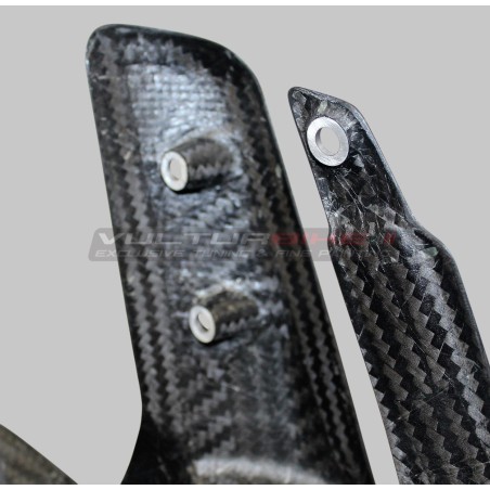 Garde-boue avant carbone - Ducati Multistrada V2 / V2S