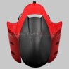 Painted carbon front fender for Ducati Multistrada V2 / V2S