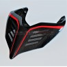 Codone in carbonio personalizzato - Ducati Panigale V4 / V4R / V4S / V2 2020 / Streetfighter V2 - V4