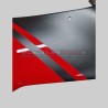 Customized carbon fiber windshield with paint finish - Ducati Panigale V4