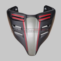 Carbon Heck neue Linie für Ducati Streetfighter V2 storm green