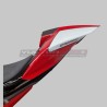 Queue peinte d’origine pour Ducati et Streetfighter V4 / V4S