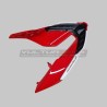 Original painted tail for Ducati and Streetfighter V4 / V4S