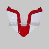 Original painted tail for Ducati and Streetfighter V4 / V4S