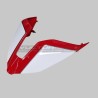 Cola pintada original para Ducati y Streetfighter V4 / V4S