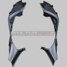 Carbon fiber side panels under tail - Ducati Panigale V4