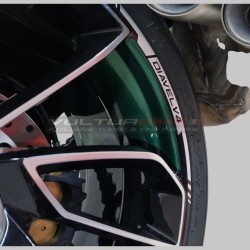 Komplettes Aufkleber-Set für Metallic-Farben - Ducati Diavel V4