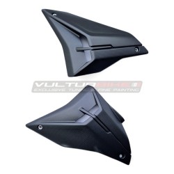 Juego de carenado de carbono para Ducati Streetfighter V4 2023 / 2024