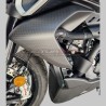 Parte superior de carbonocarenados - Ducati Diavel V4
