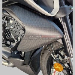 Dessuscarénages en carbone - Ducati Diavel V4
