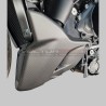 Carena puntale inferiore in carbonio - Ducati Diavel V4