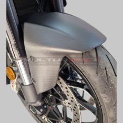 Carbon front fender - Ducati Diavel V4 from 2022