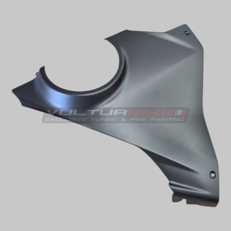 Untere Verkleidungen aus Kohlefaser für Ducati Panigale V4 / V4S
