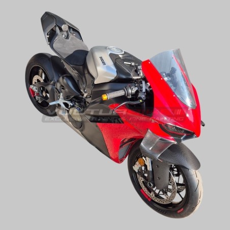 Evolution Carbon Heck - Ducati Panigale und Streetfighter V4 / V4S